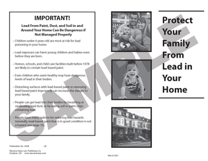 SN 2008 Protect Your Family from Lead in Your Home (ANY STATE)
